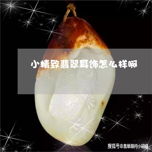 小精致翡翠耳饰怎么样啊/2023081419482