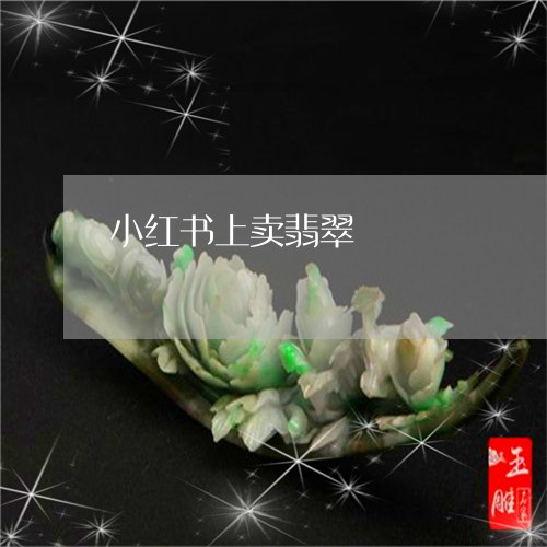 小红书上卖翡翠/2023052022735