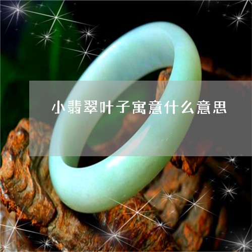 小翡翠叶子寓意什么意思/2023052423168