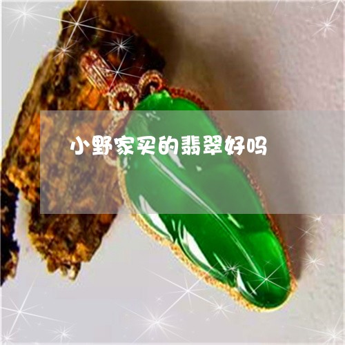 小野家买的翡翠好吗/2023071477059