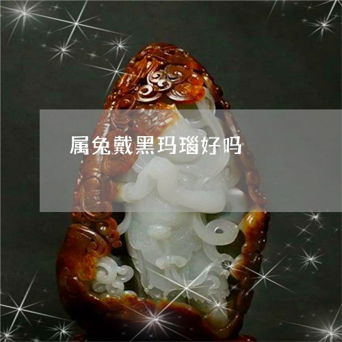 属兔戴黑玛瑙好吗/2023122149373