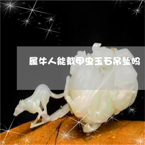 属牛人能戴甲虫玉石吊坠吗/2023092342836