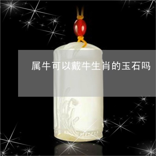 属牛可以戴牛生肖的玉石吗/2023080138159