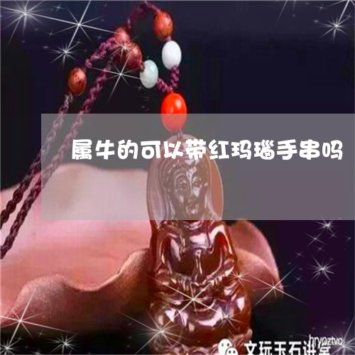 属牛的可以带红玛瑙手串吗/2023092356938