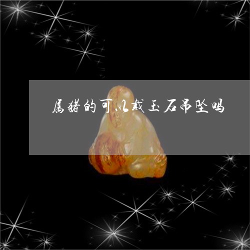 属猪的可以戴玉石吊坠吗/2023081335162