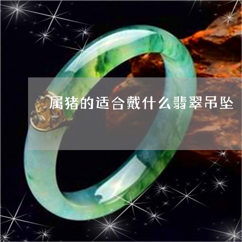 属猪的适合戴什么翡翠吊坠/2023080167251