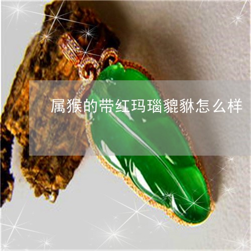 属猴的带红玛瑙貔貅怎么样/2023080103593