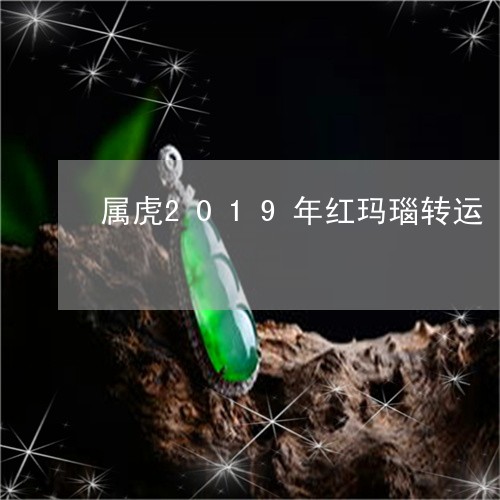 属虎2019年红玛瑙转运/2023092355151