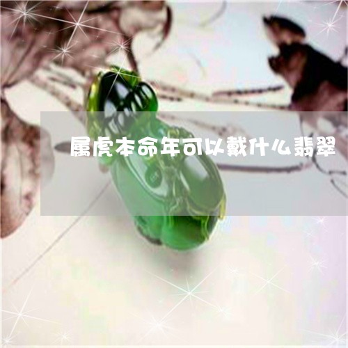 属虎本命年可以戴什么翡翠/2023080148393