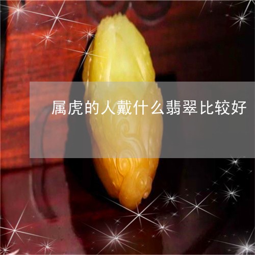 属虎的人戴什么翡翠比较好/2023080133615