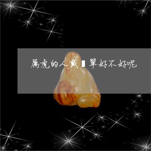 属虎的人戴翡翠好不好呢/2023091431792