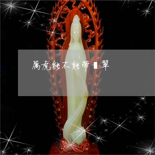 属虎能不能带翡翠/2023122281915