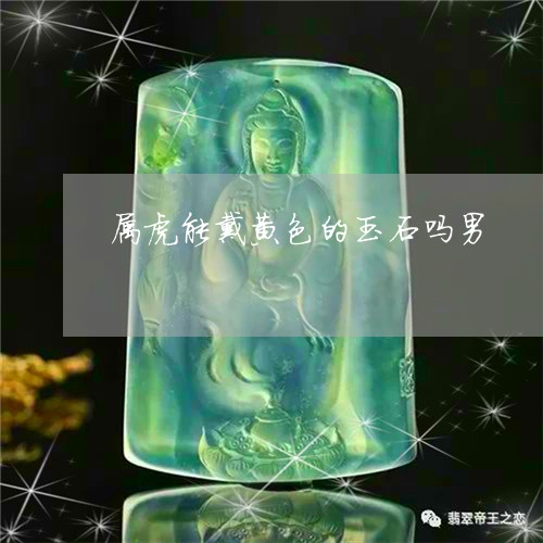 属虎能戴黄色的玉石吗男/2023110735040