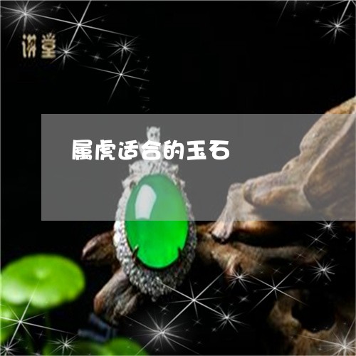 属虎适合的玉石/2023082641583