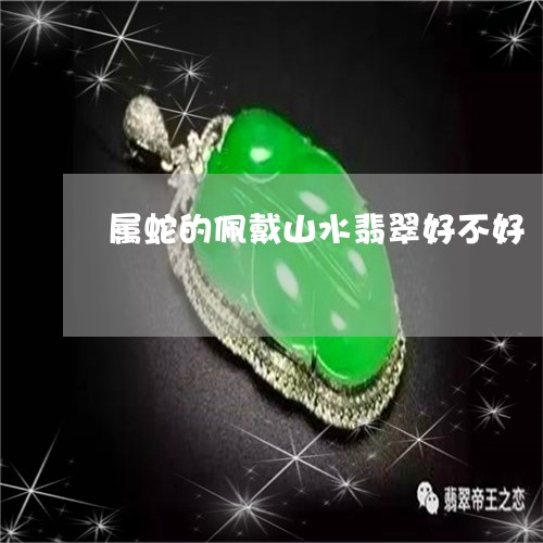 属蛇的佩戴山水翡翠好不好/2023080136482