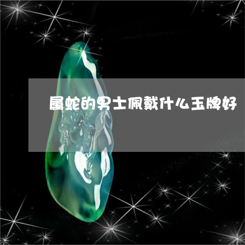 属蛇的男士佩戴什么玉牌好/2023080121714