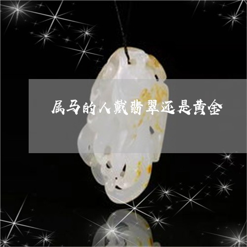 属马的人戴翡翠还是黄金/2023110753715