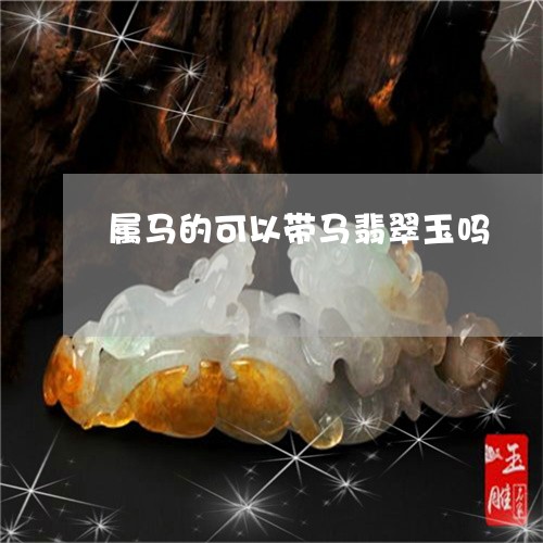 属马的可以带马翡翠玉吗/2023091493705