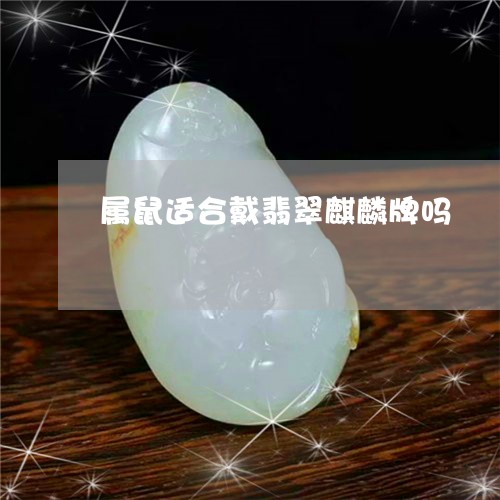 属鼠适合戴翡翠麒麟牌吗/2023081312935