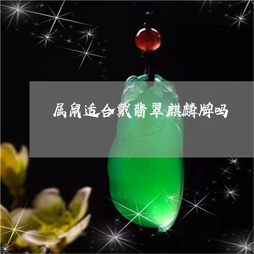 属鼠适合戴翡翠麒麟牌吗/2023110726273