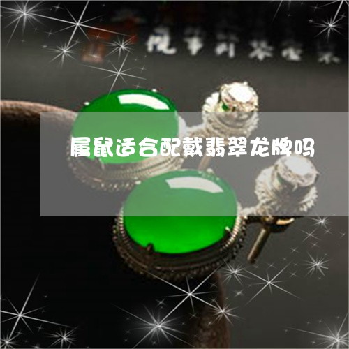 属鼠适合配戴翡翠龙牌吗/2023041608250