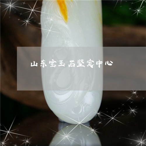 山东宝玉石坚定中心/2023120489369