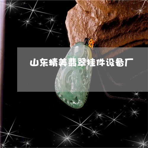 山东精美翡翠挂件设备厂/2023081401514