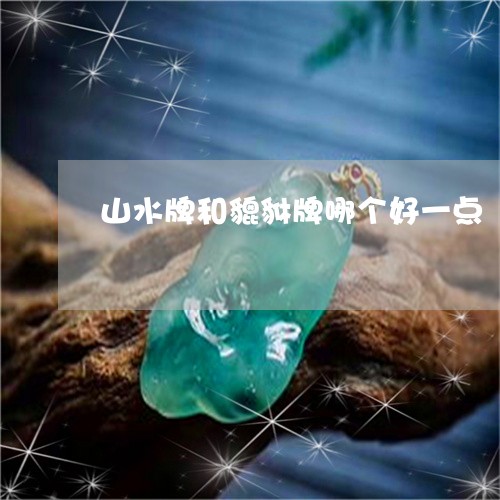 山水牌和貔貅牌哪个好一点/2023061009370