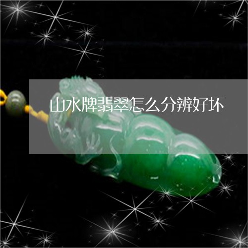 山水牌翡翠怎么分辨好坏/2023052472935