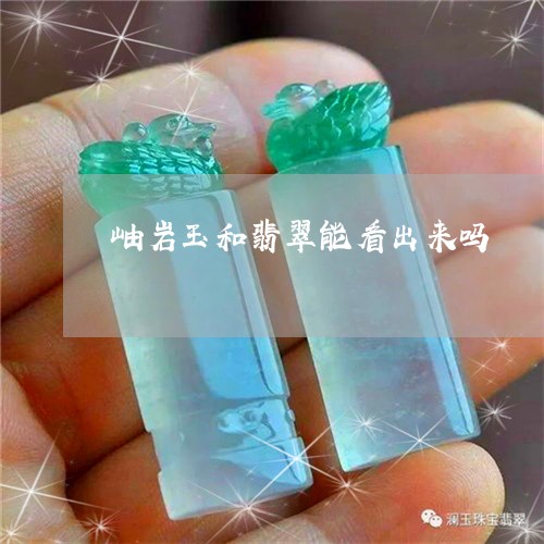 岫岩玉和翡翠能看出来吗/2023091420480