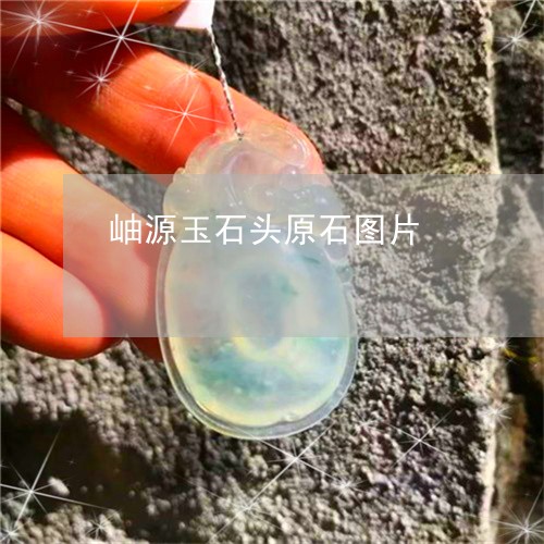 岫源玉石头原石图片/2023082716016