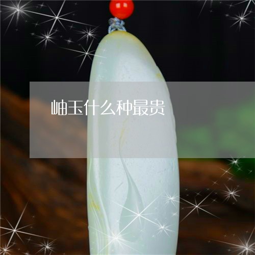 岫玉什么种最贵/2023042595958