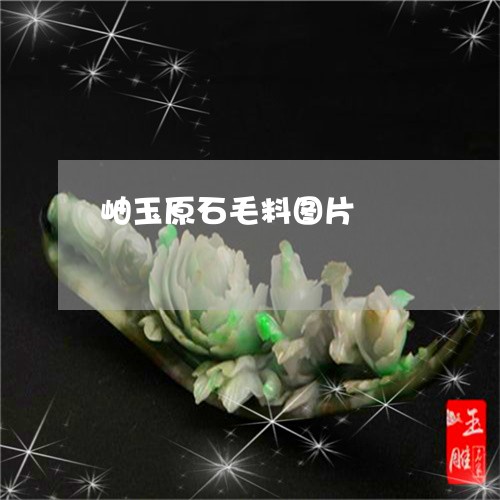 岫玉原石毛料图片/2023122278492