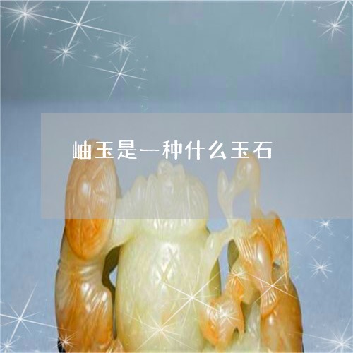 岫玉是一种什么玉石/2023032152935