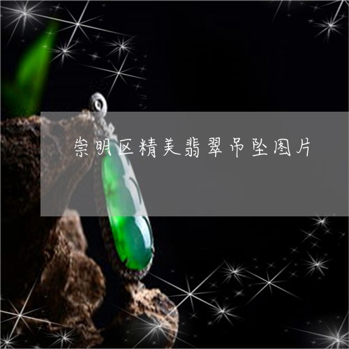 崇明区精美翡翠吊坠图片/2023110700673