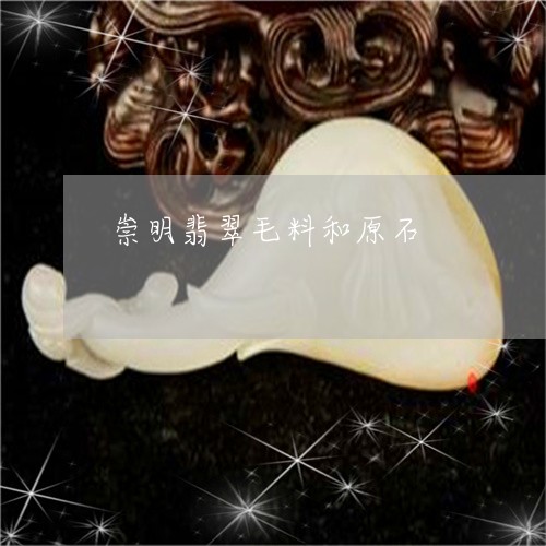 崇明翡翠毛料和原石/2023120473714