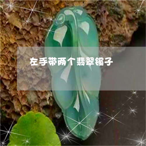 左手带两个翡翠镯子/2023121642694