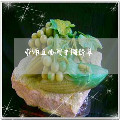 帝师直播间手镯翡翠/2023121652728