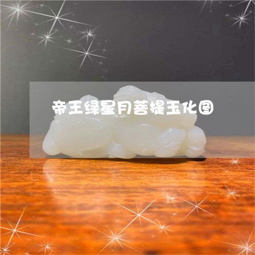 帝王绿星月菩提玉化图/2023051133757