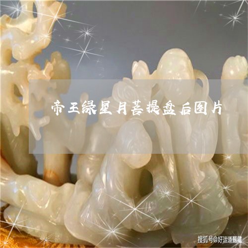 帝王绿星月菩提盘后图片/2023110725051