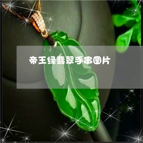 帝王绿翡翠手串图片/2023121608251