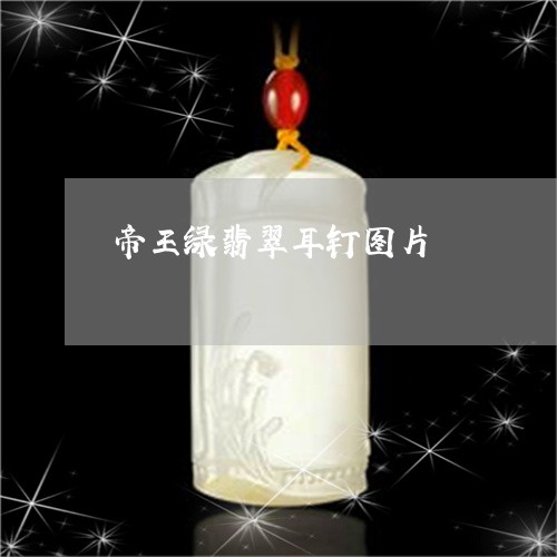 帝王绿翡翠耳钉图片/2023121655960