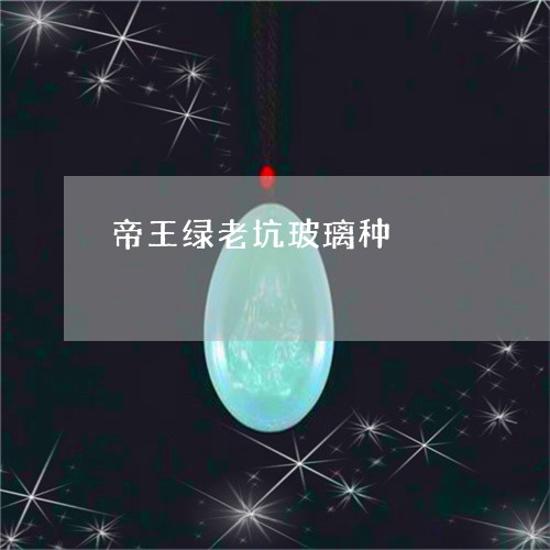 帝王绿老坑玻璃种/2023122216946