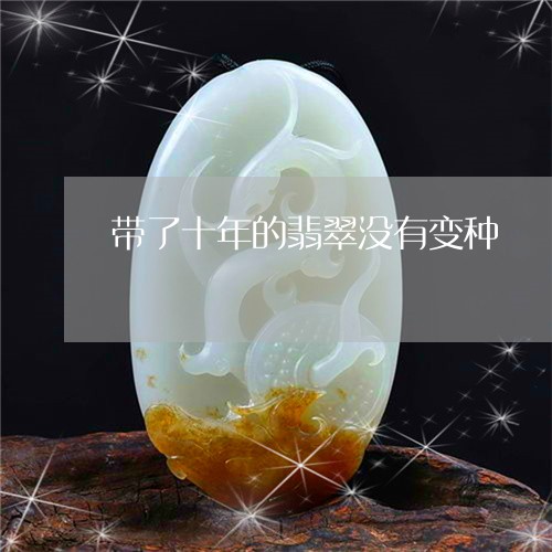 带了十年的翡翠没有变种/2023041671604