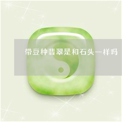 带豆种翡翠是和石头一样吗/2023080151516