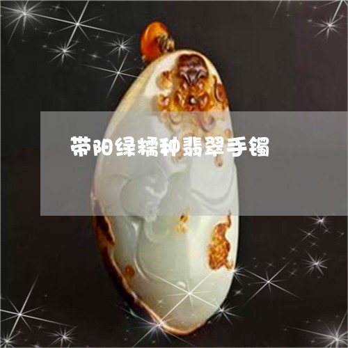 带阳绿糯种翡翠手镯/2023032169470