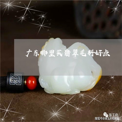 广东哪里买翡翠毛料好点/2023052480582