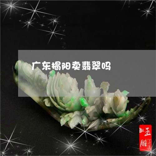 广东揭阳卖翡翠吗/2023122069161