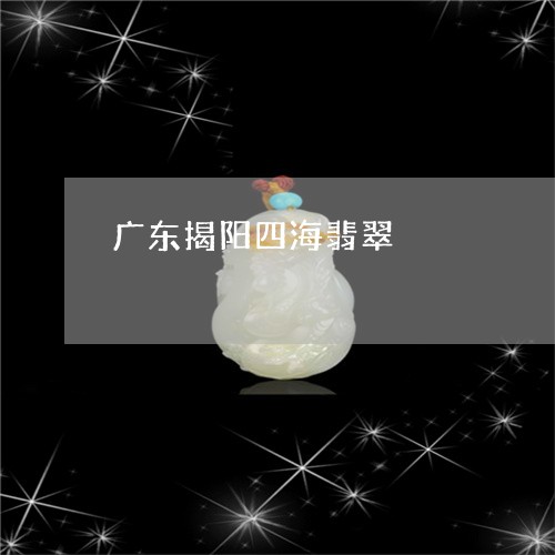 广东揭阳四海翡翠/2023122064037