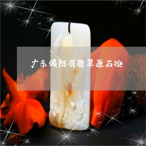 广东揭阳有翡翠原石捡/2023110707470